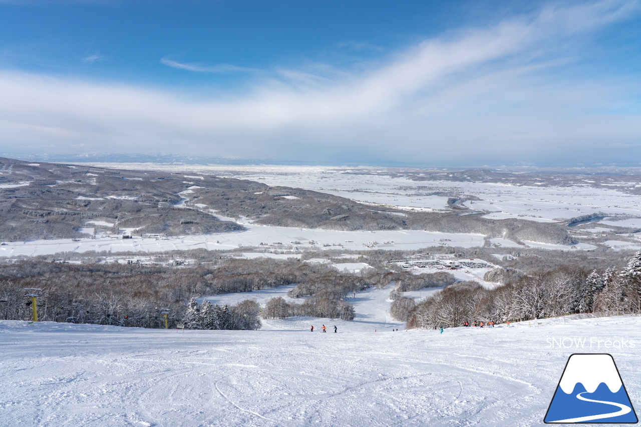 カムイスキーリンクス｜この上ないほど澄んだ青空と極上のパウダースノー。やっぱり『カムイ』は外れない！